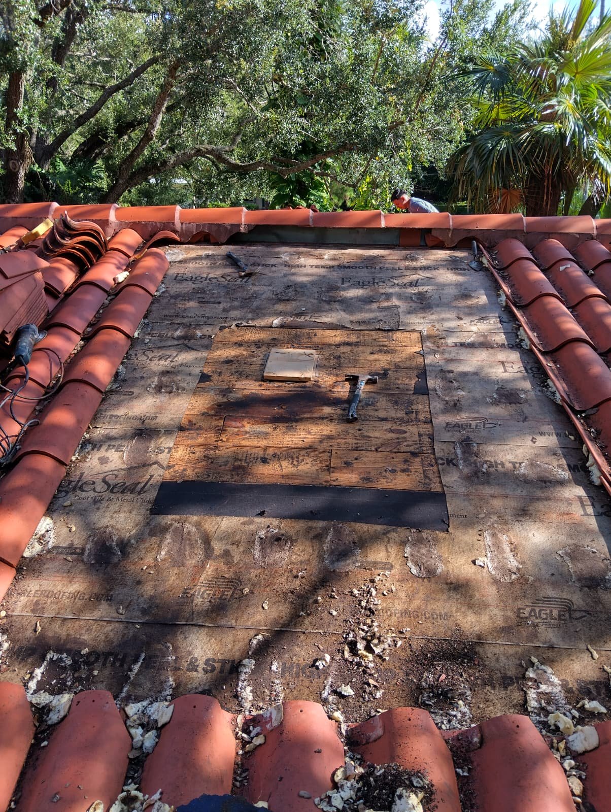 5bfbd3f8-7e24-426d-9ab6-4d11e6d8c6dd