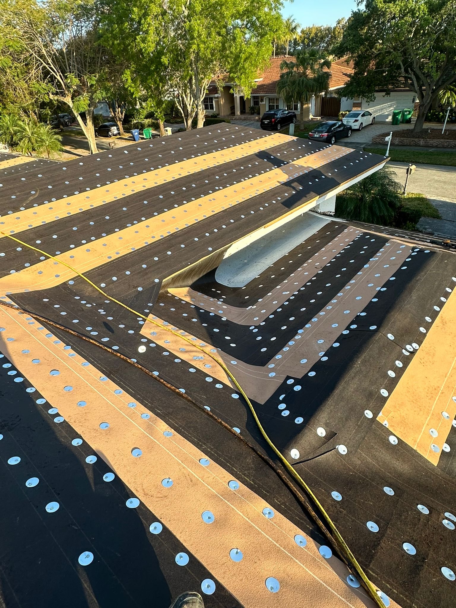 89ff0601-0688-4f51-bac5-c3dc8d89dccb